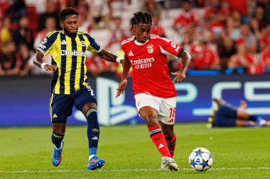 Fred ve Leandro Barreiro, Şampiyonlar Ligi eleme maçında SL Benfica ve Fenerbahçe SK (Maciej Rogowski)