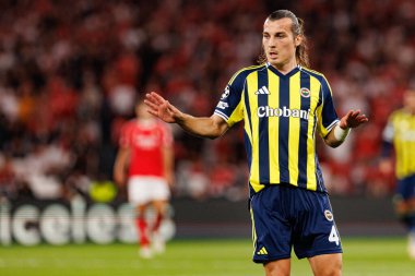 Şampiyonlar Ligi eleme maçında SL Benfica ve Fenerbahçe SK (Maciej Rogowski)