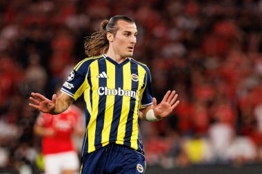 Şampiyonlar Ligi eleme maçında SL Benfica ve Fenerbahçe SK (Maciej Rogowski)