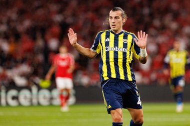 Şampiyonlar Ligi eleme maçında SL Benfica ve Fenerbahçe SK (Maciej Rogowski)