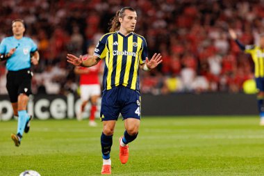 Şampiyonlar Ligi eleme maçında SL Benfica ve Fenerbahçe SK (Maciej Rogowski)