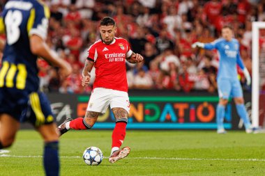 Nicolas Otamendi Şampiyonlar Ligi eleme maçında SL Benfica ve Fenerbahçe SK (Maciej Rogowski) arasında görüldü.)