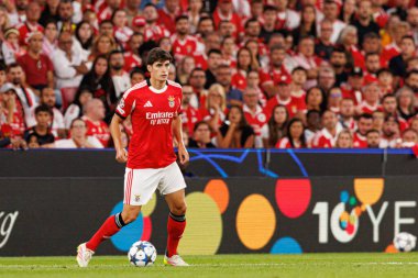 Antonio Silva Şampiyonlar Ligi eleme maçında SL Benfica ve Fenerbahçe SK (Maciej Rogowski) arasında görüldü.)