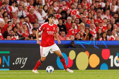 Antonio Silva Şampiyonlar Ligi eleme maçında SL Benfica ve Fenerbahçe SK (Maciej Rogowski) arasında görüldü.)