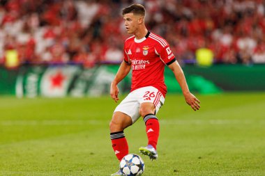 Samuel Dahl, Şampiyonlar Ligi eleme maçında SL Benfica ve Fenerbahçe SK (Maciej Rogowski)