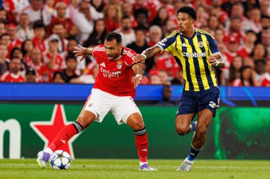 Vangelis Pavlidis ve Jayden Oosterwolde Şampiyonlar Ligi eleme maçında SL Benfica ve Fenerbahçe SK (Maciej Rogowski)