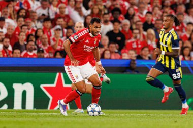 Vangelis Pavlidis, SL Benfica ve Fenerbahçe SK (Maciej Rogowski) arasındaki Şampiyonlar Ligi ön eleme maçında görüldü.)