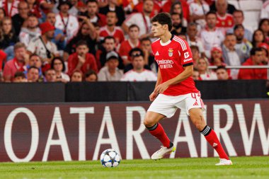 Antonio Silva Şampiyonlar Ligi eleme maçında SL Benfica ve Fenerbahçe SK (Maciej Rogowski) arasında görüldü.)