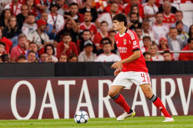 Antonio Silva Şampiyonlar Ligi eleme maçında SL Benfica ve Fenerbahçe SK (Maciej Rogowski) arasında görüldü.)