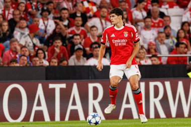 Antonio Silva Şampiyonlar Ligi eleme maçında SL Benfica ve Fenerbahçe SK (Maciej Rogowski) arasında görüldü.)