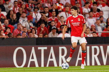 Antonio Silva Şampiyonlar Ligi eleme maçında SL Benfica ve Fenerbahçe SK (Maciej Rogowski) arasında görüldü.)