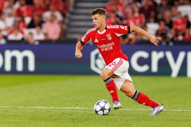 Samuel Dahl, Şampiyonlar Ligi eleme maçında SL Benfica ve Fenerbahçe SK (Maciej Rogowski)