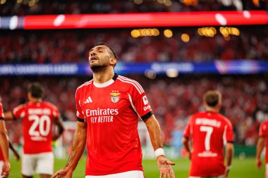 Vangelis Pavlidis, Şampiyonlar Ligi eleme maçında SL Benfica ve Fenerbahçe SK (Maciej Rogowski)