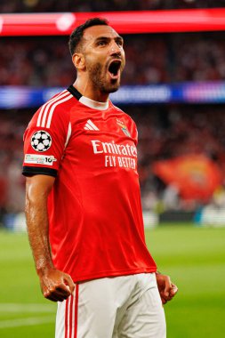 Vangelis Pavlidis, Şampiyonlar Ligi eleme maçında SL Benfica ve Fenerbahçe SK (Maciej Rogowski)