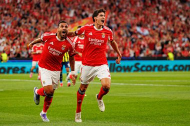 Vangelis Pavlidis ve Antonio Silva SL Benfica ve Fenerbahçe SK (Maciej Rogowski) arasındaki Şampiyonlar Ligi ön eleme maçında gol üstüne gol atarken görüldüler.)