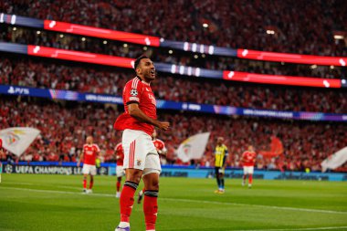 Vangelis Pavlidis, Şampiyonlar Ligi eleme maçında SL Benfica ve Fenerbahçe SK (Maciej Rogowski)