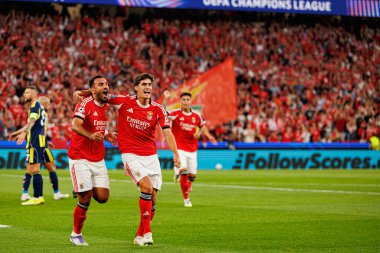 Vangelis Pavlidis ve Antonio Silva SL Benfica ve Fenerbahçe SK (Maciej Rogowski) arasındaki Şampiyonlar Ligi ön eleme maçında gol üstüne gol atarken görüldüler.)