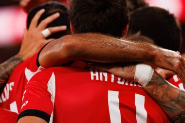 Benfica oyuncuları Şampiyonlar Ligi eleme maçında SL Benfica ve Fenerbahçe SK (Maciej Rogowski)