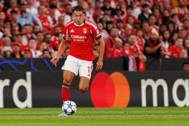 Amar Dediç Şampiyonlar Ligi eleme maçında SL Benfica ve Fenerbahçe SK (Maciej Rogowski) arasında görüldü.)