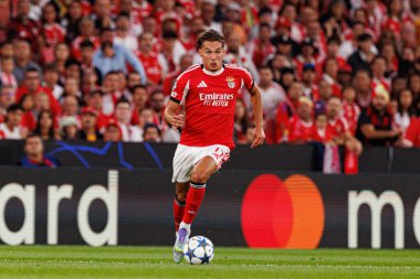 Amar Dediç Şampiyonlar Ligi eleme maçında SL Benfica ve Fenerbahçe SK (Maciej Rogowski) arasında görüldü.)