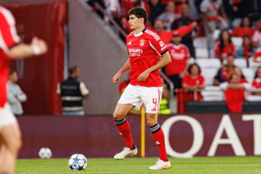 Antonio Silva Şampiyonlar Ligi eleme maçında SL Benfica ve Fenerbahçe SK (Maciej Rogowski) arasında görüldü.)