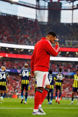 Vangelis Pavlidis, SL Benfica ve Fenerbahçe SK (Maciej Rogowski) arasındaki Şampiyonlar Ligi ön eleme maçında görüldü.)