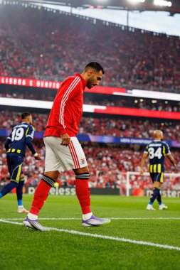 Vangelis Pavlidis, SL Benfica ve Fenerbahçe SK (Maciej Rogowski) arasındaki Şampiyonlar Ligi ön eleme maçında görüldü.)