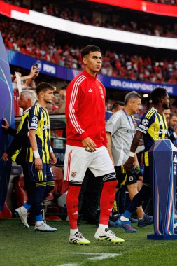 Enzo Barrenechea, Şampiyonlar Ligi eleme maçında SL Benfica ve Fenerbahçe SK (Maciej Rogowski) arasında görüldü.)