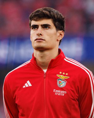 Antonio Silva Şampiyonlar Ligi eleme maçında SL Benfica ve Fenerbahçe SK (Maciej Rogowski) arasında görüldü.)