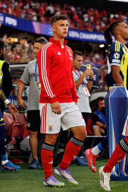 Samuel Dahl, Şampiyonlar Ligi eleme maçında SL Benfica ve Fenerbahçe SK (Maciej Rogowski)