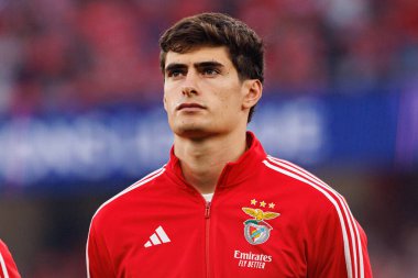 Antonio Silva Şampiyonlar Ligi eleme maçında SL Benfica ve Fenerbahçe SK (Maciej Rogowski) arasında görüldü.)