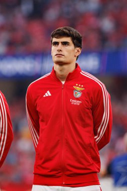 Antonio Silva Şampiyonlar Ligi eleme maçında SL Benfica ve Fenerbahçe SK (Maciej Rogowski) arasında görüldü.)