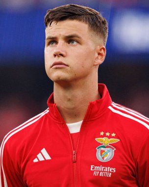 Samuel Dahl, Şampiyonlar Ligi eleme maçında SL Benfica ve Fenerbahçe SK (Maciej Rogowski)