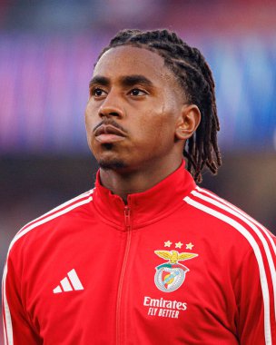 Leandro Barreiro Şampiyonlar Ligi eleme maçında SL Benfica ve Fenerbahçe SK (Maciej Rogowski) arasında görüldü.)