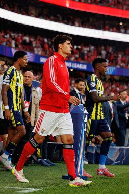 Antonio Silva Şampiyonlar Ligi eleme maçında SL Benfica ve Fenerbahçe SK (Maciej Rogowski) arasında görüldü.)