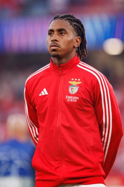 Leandro Barreiro Şampiyonlar Ligi eleme maçında SL Benfica ve Fenerbahçe SK (Maciej Rogowski) arasında görüldü.)