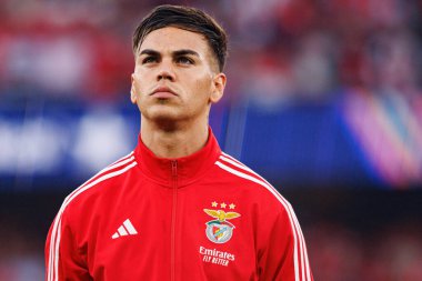 Enzo Barrenechea, Şampiyonlar Ligi eleme maçında SL Benfica ve Fenerbahçe SK (Maciej Rogowski) arasında görüldü.)