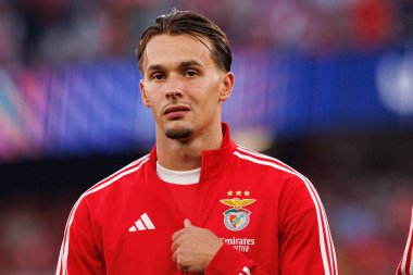 Amar Dediç Şampiyonlar Ligi eleme maçında SL Benfica ve Fenerbahçe SK (Maciej Rogowski) arasında görüldü.)