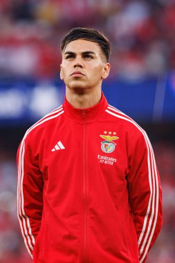 Enzo Barrenechea, Şampiyonlar Ligi eleme maçında SL Benfica ve Fenerbahçe SK (Maciej Rogowski) arasında görüldü.)