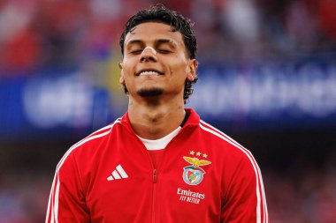 Richard Rios Şampiyonlar Ligi eleme maçında SL Benfica ve Fenerbahçe SK (Maciej Rogowski)