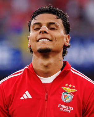 Richard Rios Şampiyonlar Ligi eleme maçında SL Benfica ve Fenerbahçe SK (Maciej Rogowski)