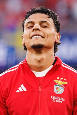 Richard Rios Şampiyonlar Ligi eleme maçında SL Benfica ve Fenerbahçe SK (Maciej Rogowski)