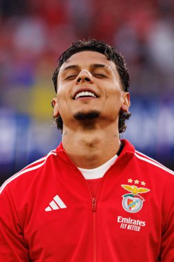 Richard Rios Şampiyonlar Ligi eleme maçında SL Benfica ve Fenerbahçe SK (Maciej Rogowski)