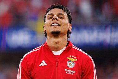 Richard Rios Şampiyonlar Ligi eleme maçında SL Benfica ve Fenerbahçe SK (Maciej Rogowski)