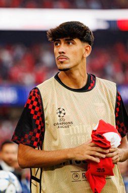 Joao Veloso Şampiyonlar Ligi eleme maçında SL Benfica ve Fenerbahçe SK (Maciej Rogowski)