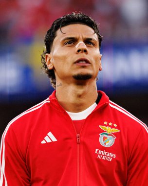 Richard Rios Şampiyonlar Ligi eleme maçında SL Benfica ve Fenerbahçe SK (Maciej Rogowski)