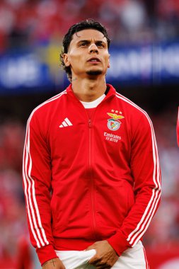 Richard Rios Şampiyonlar Ligi eleme maçında SL Benfica ve Fenerbahçe SK (Maciej Rogowski)