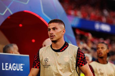 Franjo İvanoviç Şampiyonlar Ligi eleme maçında SL Benfica ve Fenerbahçe SK (Maciej Rogowski) arasında görüldü.)