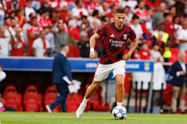 Franjo İvanoviç Şampiyonlar Ligi eleme maçında SL Benfica ve Fenerbahçe SK (Maciej Rogowski) arasında görüldü.)