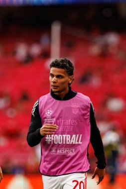 Richard Rios Şampiyonlar Ligi eleme maçında SL Benfica ve Fenerbahçe SK (Maciej Rogowski)